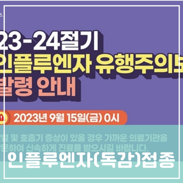 인플루엔자(독감) 예방접종 어린이 임산부 어르신 우선접종대상자 A형 B형 C형 독감종류 인플루엔자(독감) 예방접종 어린이 임산부 어르신 우선접종대상자 A형 B형 C형 독감종류
