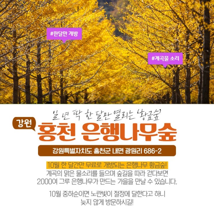 { 가볼만한 단풍명소} 가을단풍여행지 추천! { 가볼만한 단풍명소} 가을단풍여행지 추천!