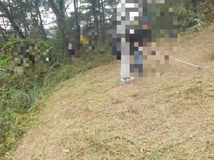  2023년 경북 김천시 장암리 산 산소 3기 추석이후 벌초 고인돌장의사 #구미장의사 #선산장의사 #상주장의사 #성주장의사 #문경장의사 #영동장의사 #황간장의사 #칠곡장의사