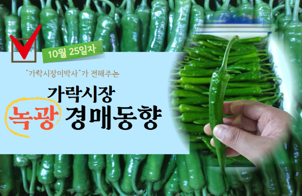  [경매사 일일보고] 10월 25일자 가락시장 녹광 경매동향을 살펴보겠습니다!