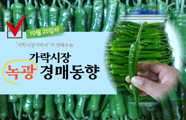 [경매사 일일보고] 10월 25일자 가락시장 녹광 경매동향을 살펴보겠습니다!