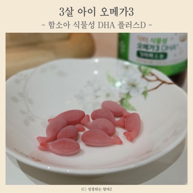  3살 아이 영양제 함소아몰 세일기간 닥터 식물성 오메가3 DHA+