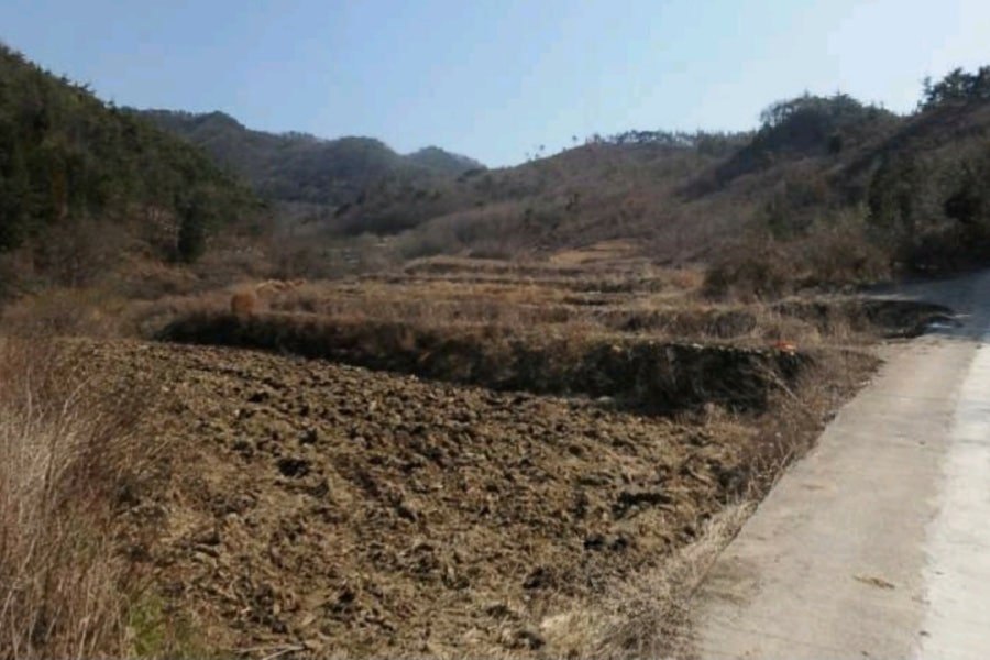 삐작골 사진 6