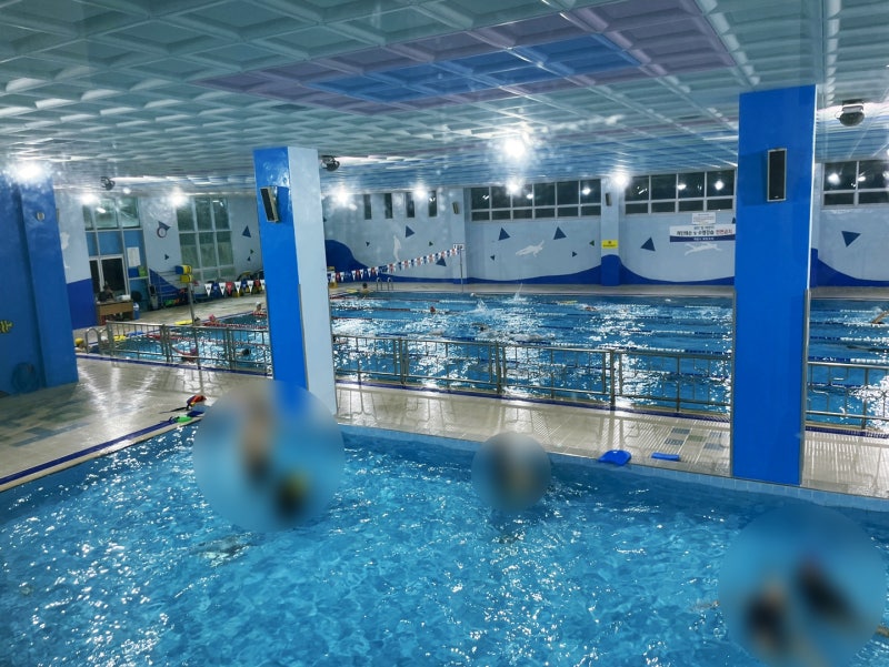 제주 사라봉 수영장 - 제주국민체육센터 - 자유 수영 상세 정보