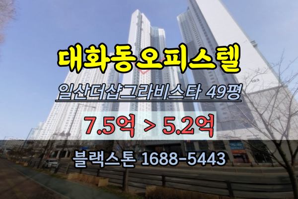 대화동오피스텔경매 일산더샵그라비스타 49평 GTX개통호재