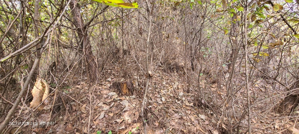 Wolrimsan photo 6