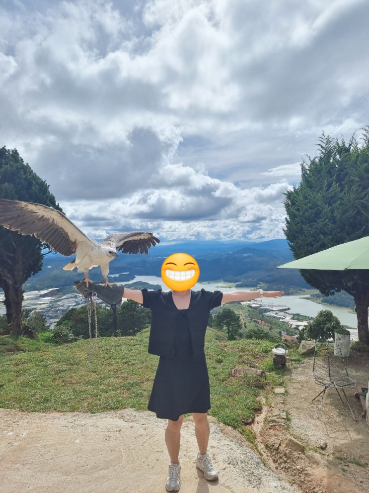  달랏 자유여행코스1️/달랏 가볼만한곳/랑비앙산/베트남 그랩&라도택시 비교