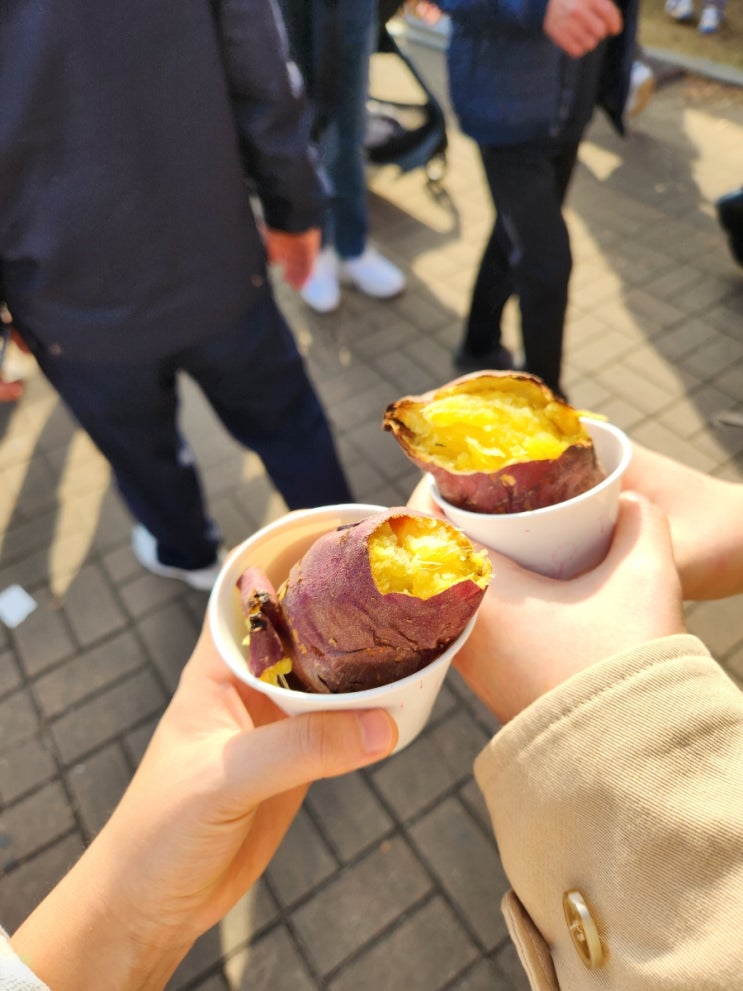  [20.Blog] 10월 22일 오늘의 블로깅 :: 여주 오곡나루 축제