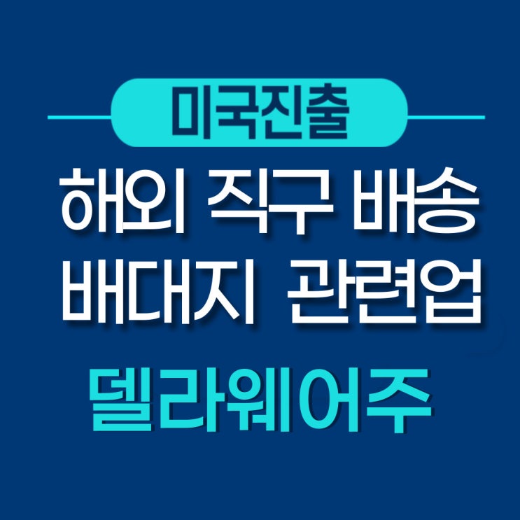  델라웨어 법인설립 - 해외직구  배대지 관련업