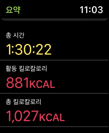 하체운동 및 파워 치팅 하체운동 및 파워 치팅