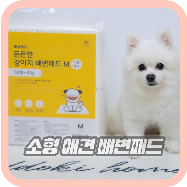 애견 배변패드 흡수력 든든한 강아지배변패드