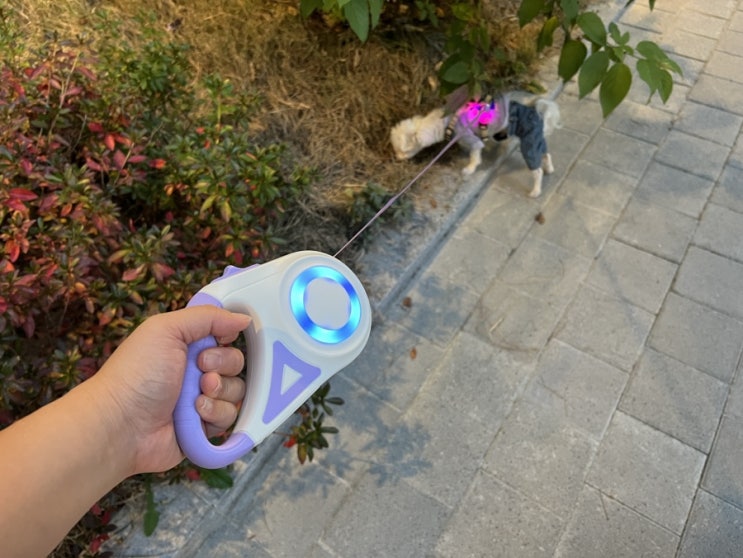  멍멍집사 강아지 야간산책 리드줄 LED 펜던트