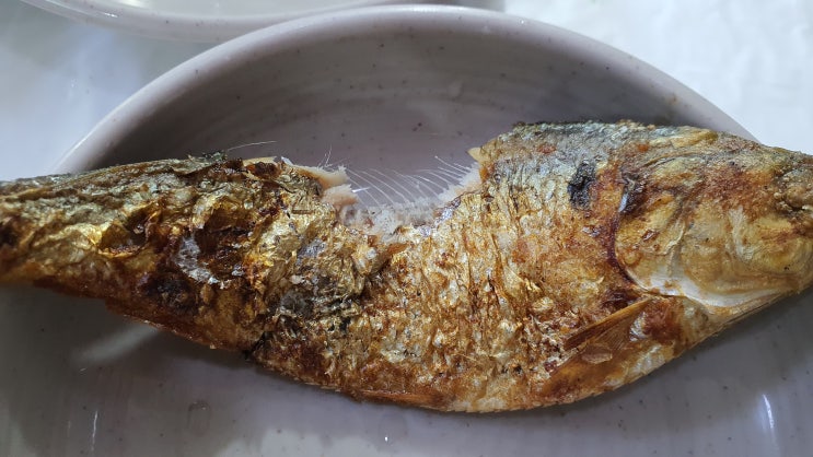  서천 홍원항 맛집 해돋이 회센타 쭈갑철 방문