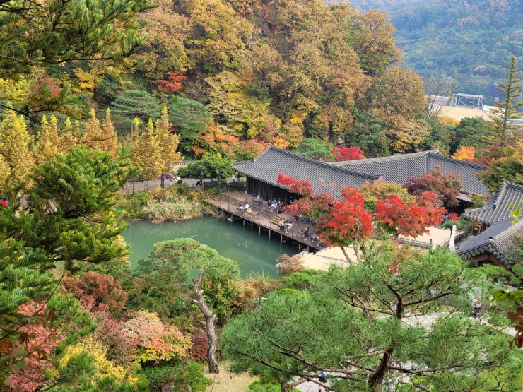  [내돈내산] 곤지암 화담숲 단풍 10월 24일 16:30 시간대 후기
