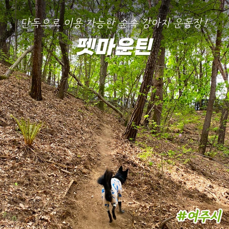 사진 2