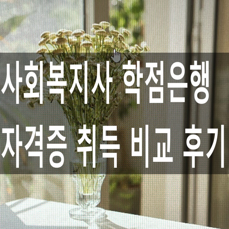  사회복지사 학점은행 자격증 취득 비교 후기