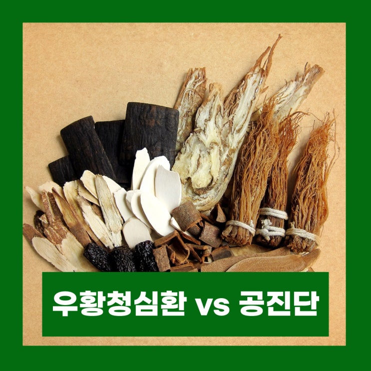  공진단 우황청심환 효과 비교 수능일 수험생 영양제