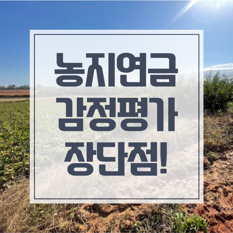  농지연금 감정평가, 수령액 높이는 방법은?