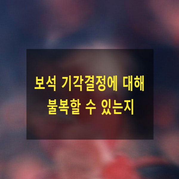  보석 기각결정에 대해 불복할 수 있는지