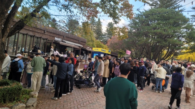  가을 단풍 구경하러 간 남이섬. 많은 인파로 인해 남이섬에 대한 환상이 깨져버렸다.