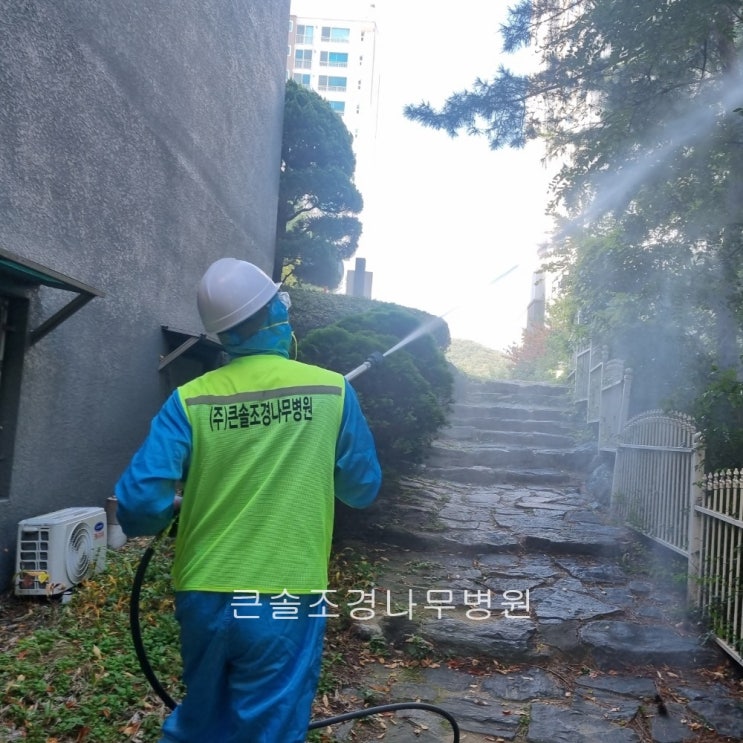 천안 아파트 수목방제 작업 / 아파트 조경관리는 큰솔 조경&나무병원