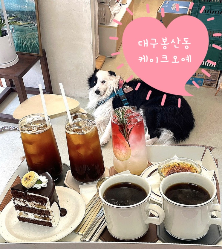  대구 봉산동 카페 케이크오예 애견동반 카페