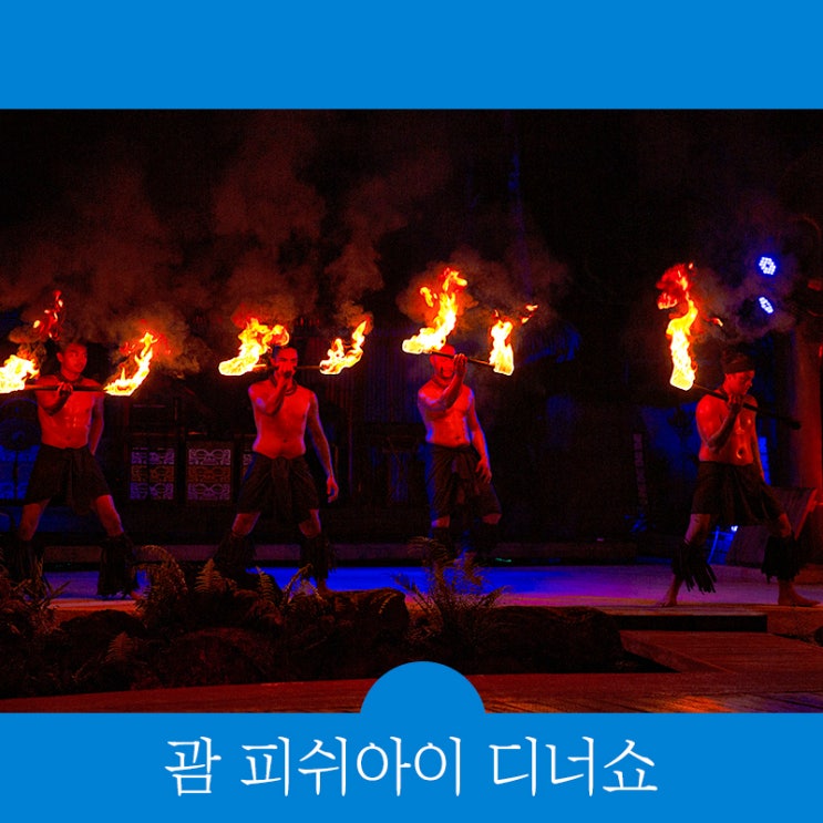 괌 피쉬아이 디너쇼, 스노클링 외 마린파크 예약 총정리