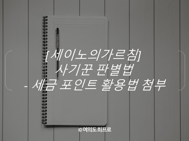  [세이노의가르침] 사기꾼 판별법 - 세금 포인트 활용법 첨부