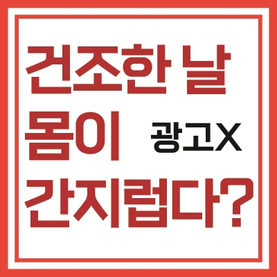  [광고 아님] 가을, 겨울 건조한 날씨에 몸이 간지럽다면, 이걸 사서 드세요!