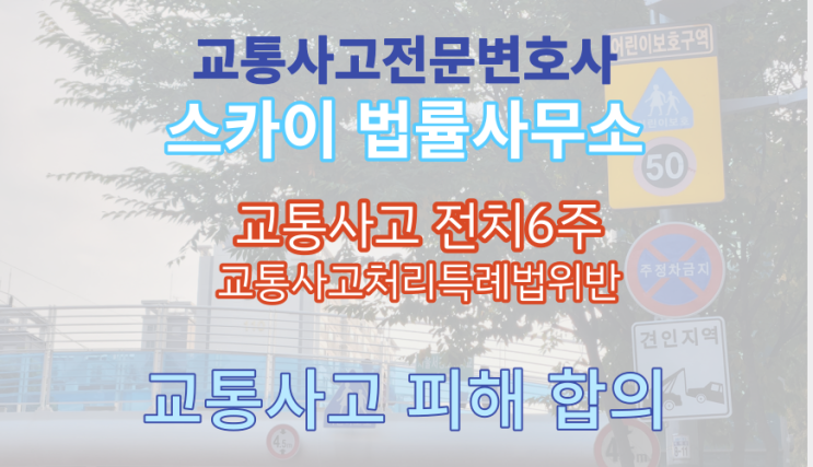  [교통사고 전치 6주 진단서] 안쪽복사(족관절)골절_교통사고 피해 합의 전문 변호사