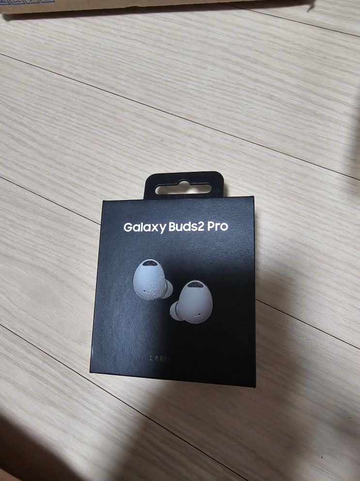  갤럭시 버즈2 Pro 구입