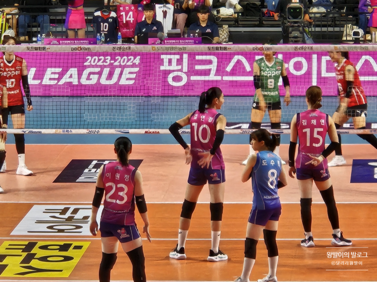 2023-24 V리그 여자배구 <b>흥국생명</b> 첫 홈 경기 관람 후기... 