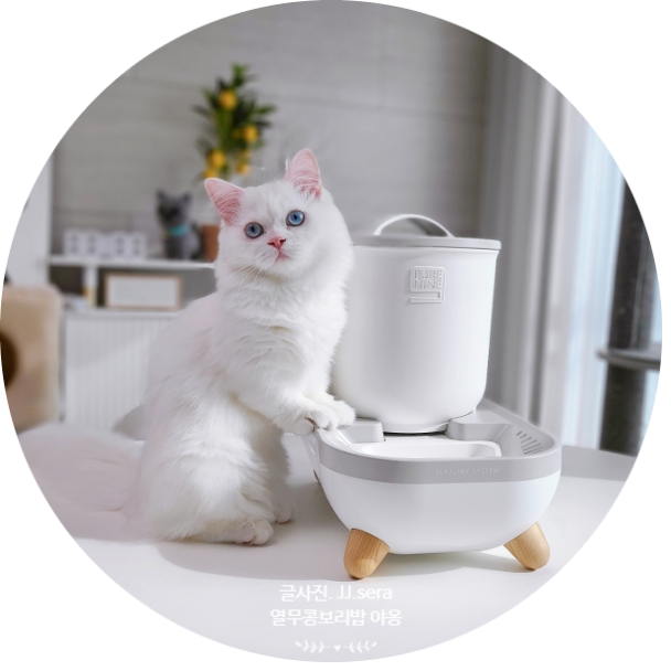 고양이 정수기 음수대 추천 음수량 높이기 위해 선택한 퓨어나인 셀프케어 S9