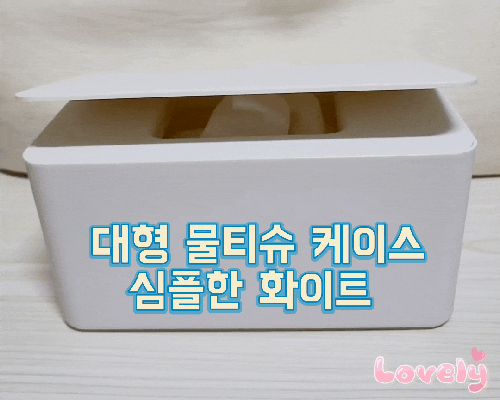물티슈 케이스 커버 추천 마스크 보관함 대형 소형 수분보존 완벽밀폐 심플 디자인 화이트 구매 리뷰 물티슈 케이스 커버 추천 마스크 보관함 대형 소형 수분보존 완벽밀폐 심플 디자인 화이트 구매 리뷰