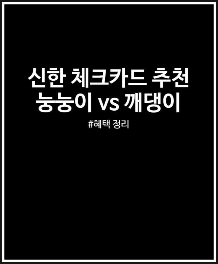  신한 체크카드 추천 깨댕이 눙눙이 취향껏 혜택별 골라 발급하자