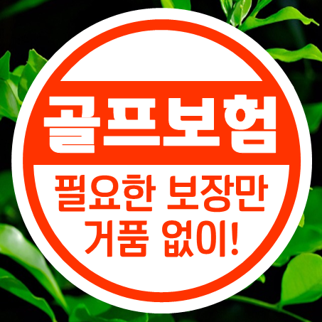  홀인원보험 비교 추천, 거품없이 가입하는 홀인원보험료 확인하세요.