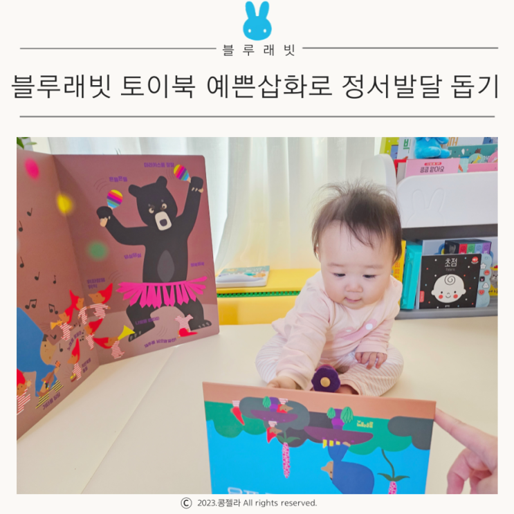 블루래빗 뉴토이북 예쁜 그림책으로 아기 정서발달