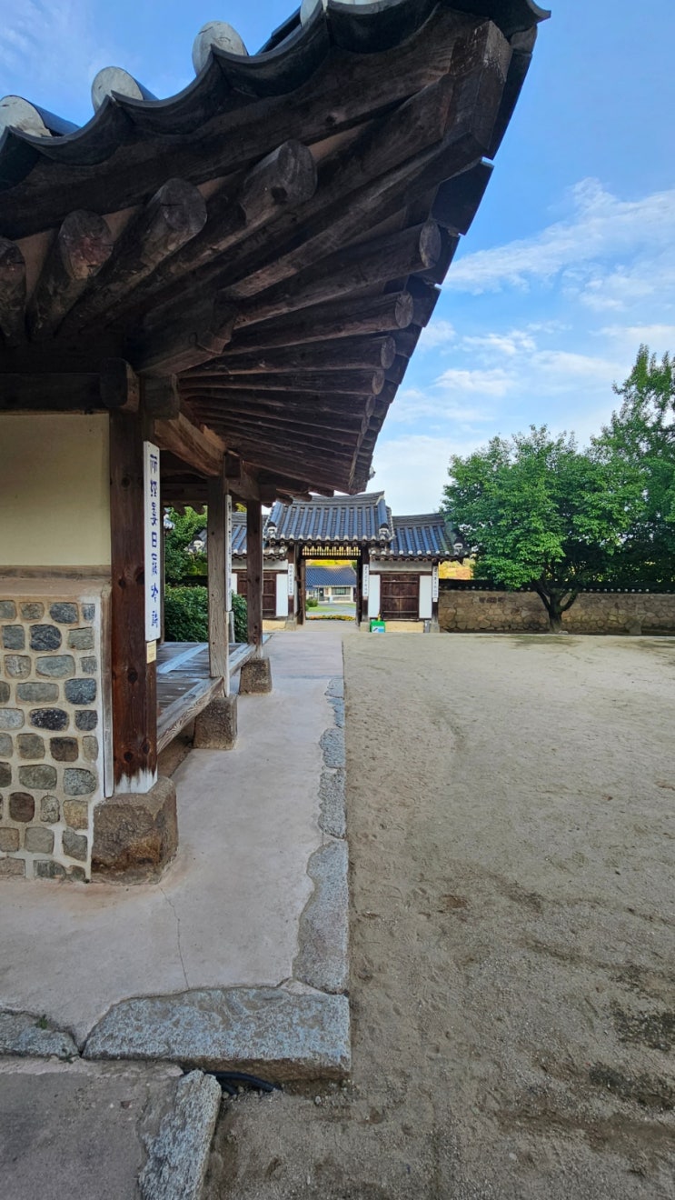  충남 예산 | 추사 김정희 선생 고택 , 천연기념물 용궁리 백송 (흰 소나무)