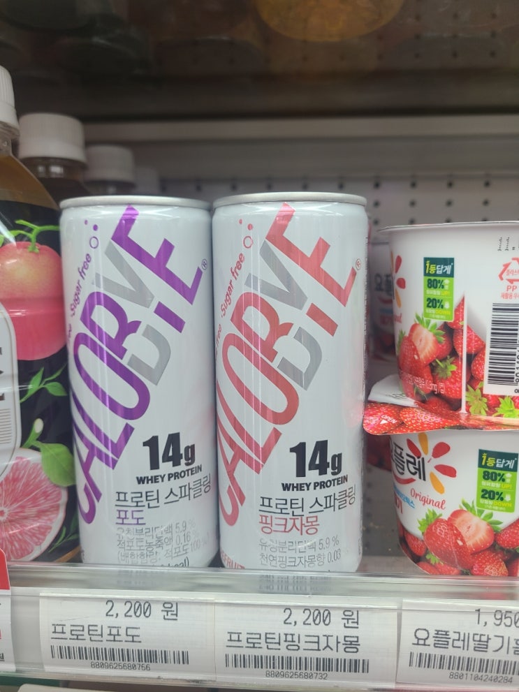  [다이어트] 가볍게 먹기 좋은 단백질 음료 칼로바이 프로틴 스파클링