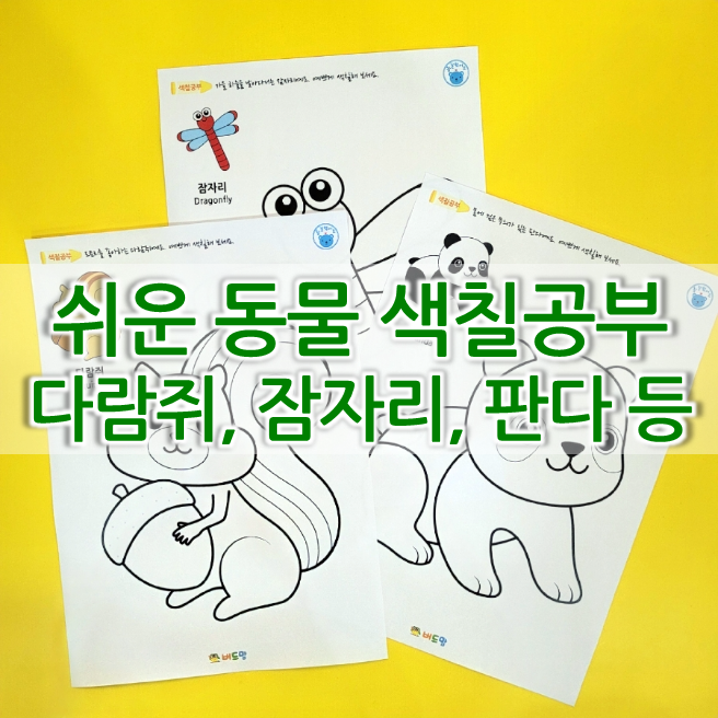  무료 쉬운 동물 색칠공부 모음! 다람쥐 도안, 잠자리 도안, 판다 도안 등