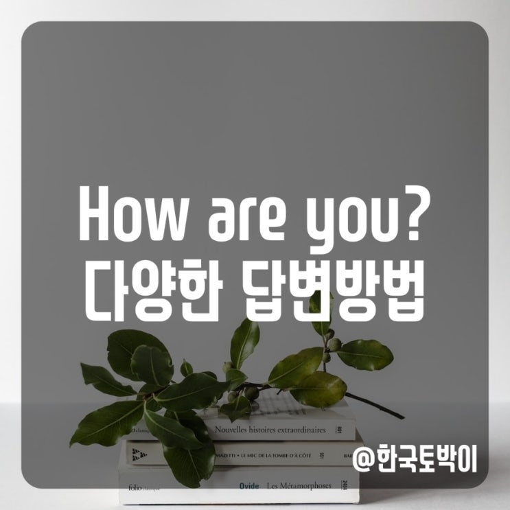 How are you? 대답방법 Fine thank you?