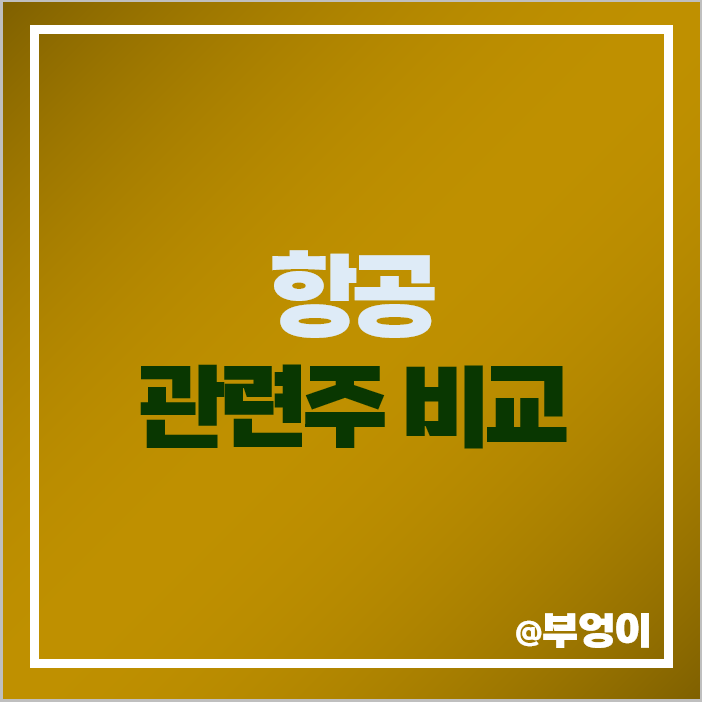 항공 관련주 항공사 주식 항공주 순위 종류 대장주 한진칼 주가 항공 관련주 항공사 주식 항공주 순위 종류 대장주 한진칼 주가