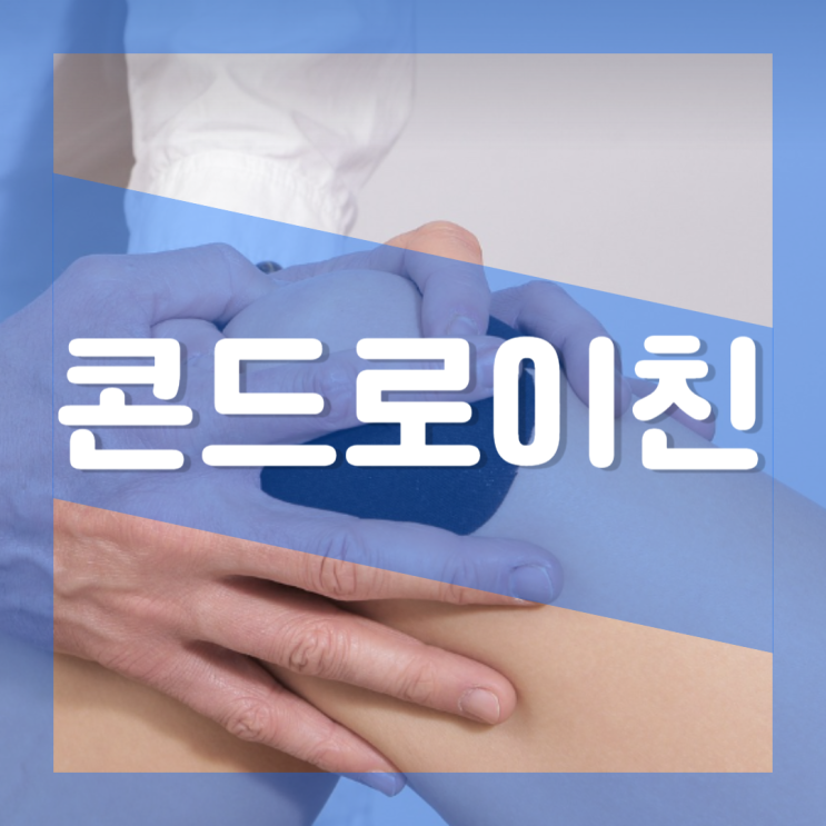  콘드로이친이란 : 효능 부작용 복용방법 상어연골 알레르기