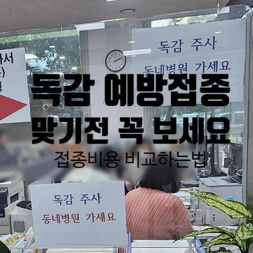  독감 예방접종, 무료 접종 대상, 비용 비교 하는 법, 동대문구 보건소 접종은?