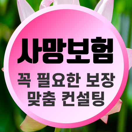 사망정기보험 추천, 상황에 맞는 정기보험비교 및 가입조건 확인