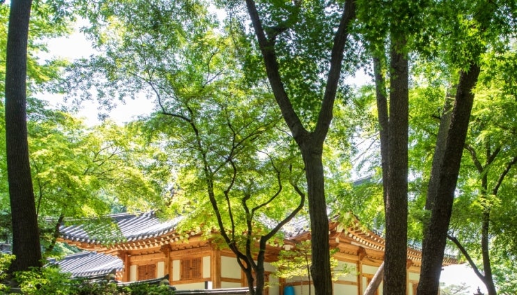 <행정법전문변호사> <b>방송통신위원회</b>의 <b>방송</b>심의제재조치 <b>취소</b>... 