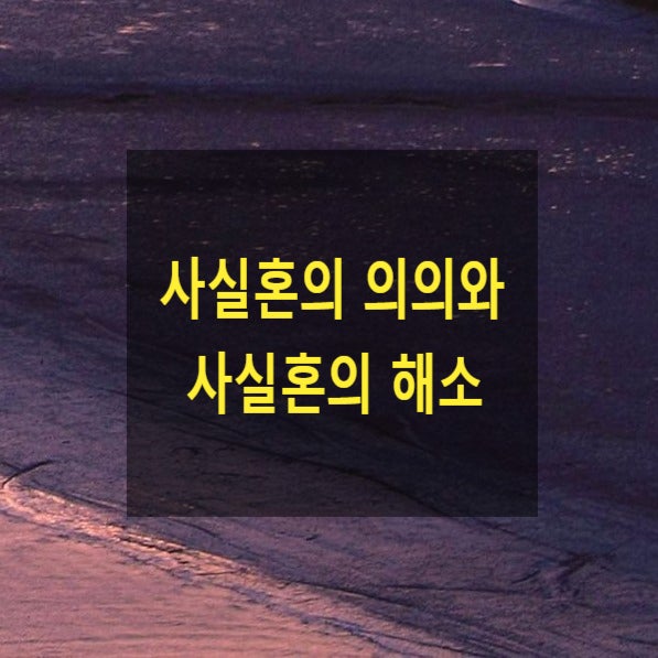  사실혼의 의의와 사실혼의 해소(2)