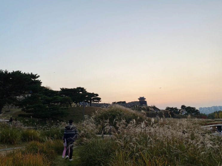  수원 억새명소 수원화성 방화수류정
