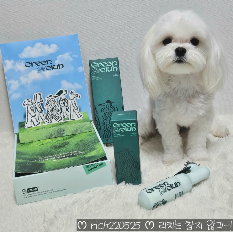  이니스프리 그린펫클럽 워터리스풋클렌저 올인원미스트 강아지 사용 후기