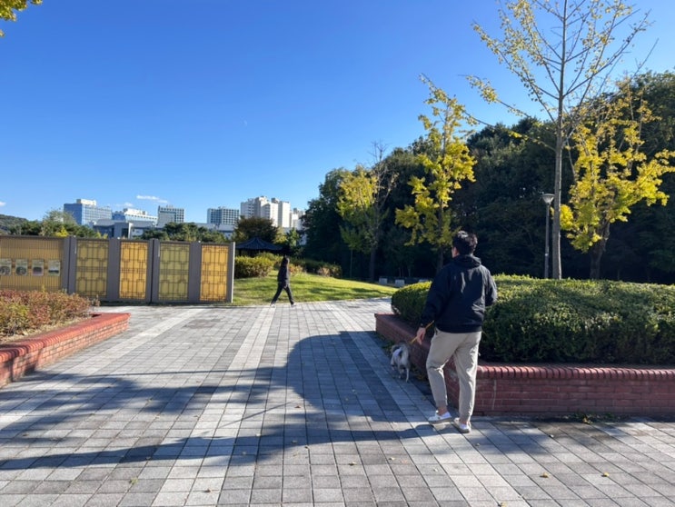  별내 구정남재묘역 강아지 산책하기 좋은 곳